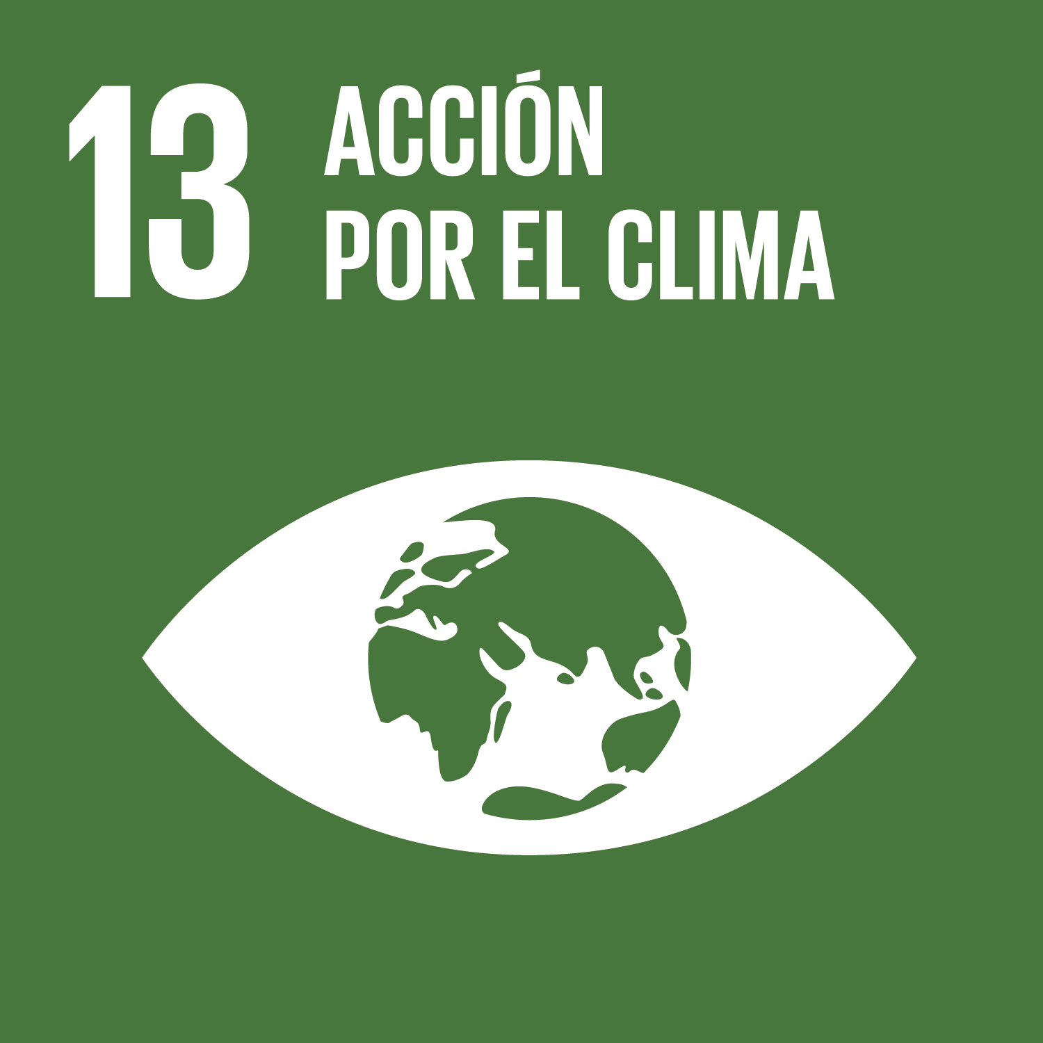 ODS 13 acción por el clima