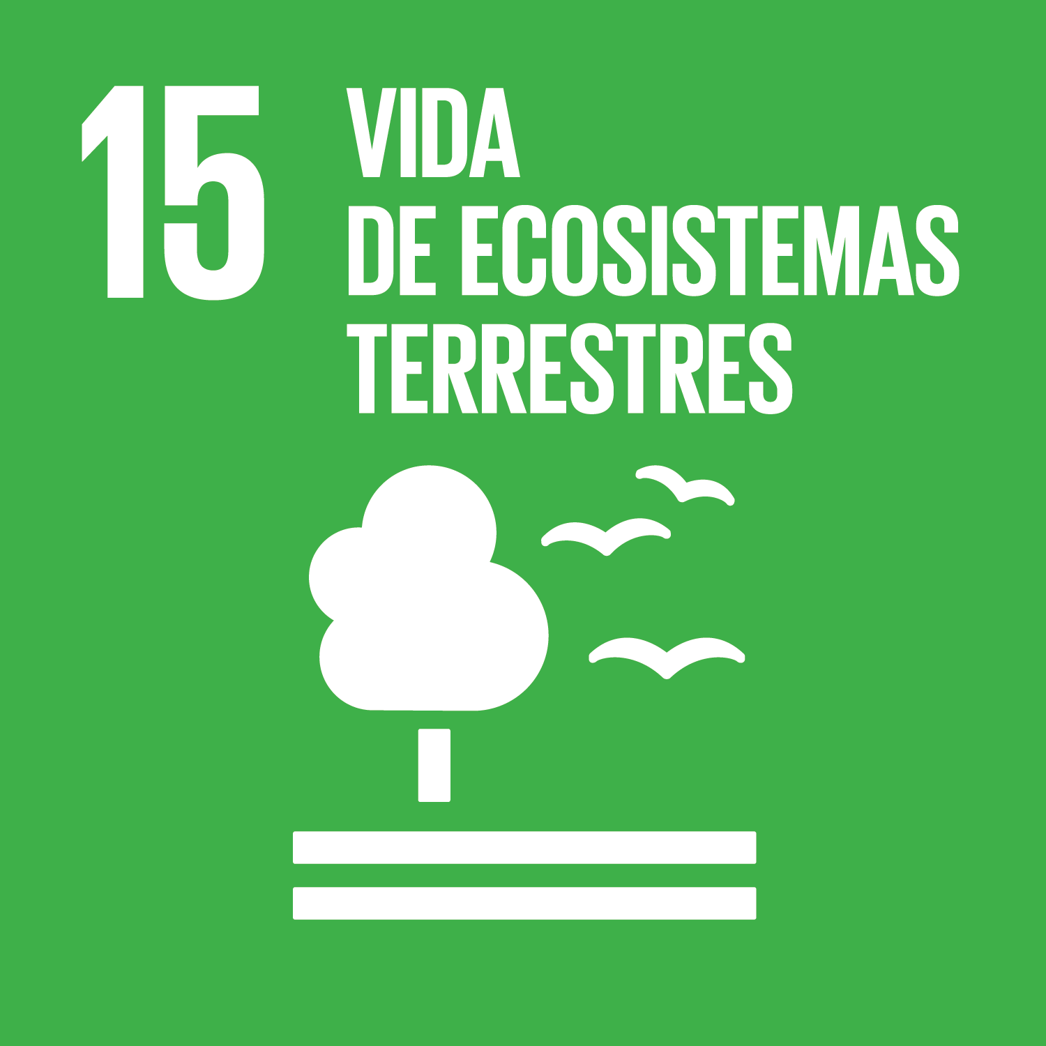 ODS 15 vida de ecosistemas terrestres