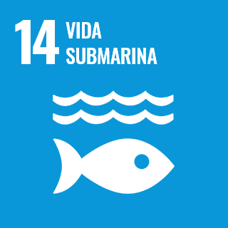 14-vida-submarina 14-vida-submarina